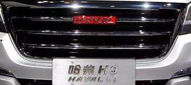 国产车换标失败案例视频